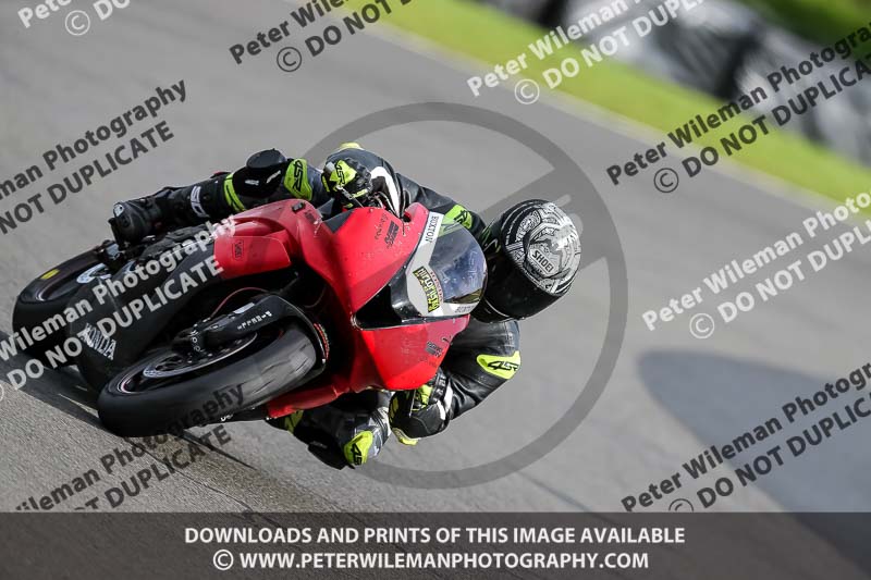 PJ Motorsport 2019;donington no limits trackday;donington park photographs;donington trackday photographs;no limits trackdays;peter wileman photography;trackday digital images;trackday photos